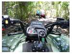 Belize Jungle Tours