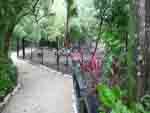 Belize Zoo